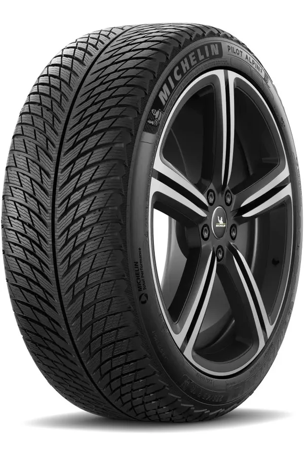 Michelin Pilot Alpin 5